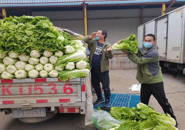 志广果蔬加大“冬储菜”调运，全力做好保供稳价